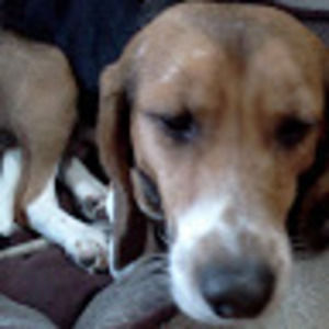 Meet your Posher, Lachlyn